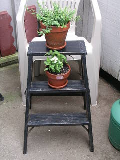 My antique garden Ladder 001.JPG