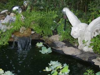 dogs and new water feature 008.jpg