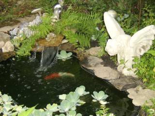 dogs and new water feature 015.jpg