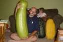Random Gallery Image