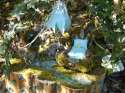 Random Gallery Image