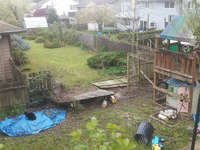 Random Gallery Image